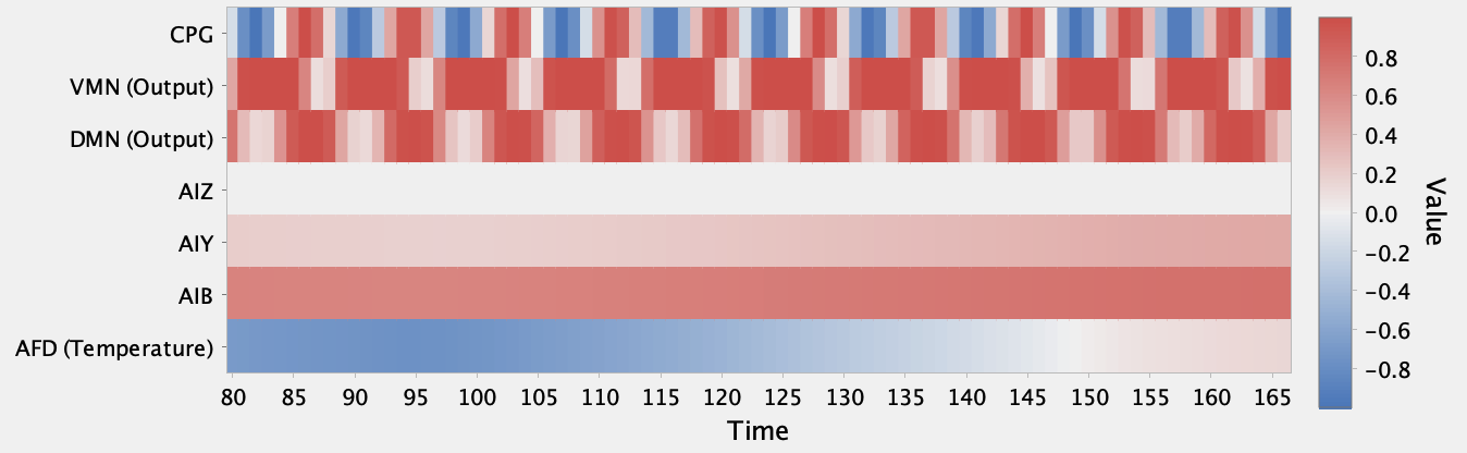 Heat map of activity in a nematode thermotaxis simulation