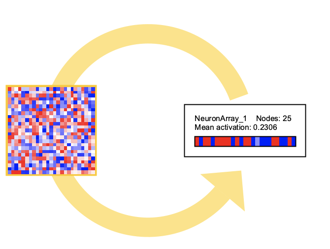 neuron array and weight matrix