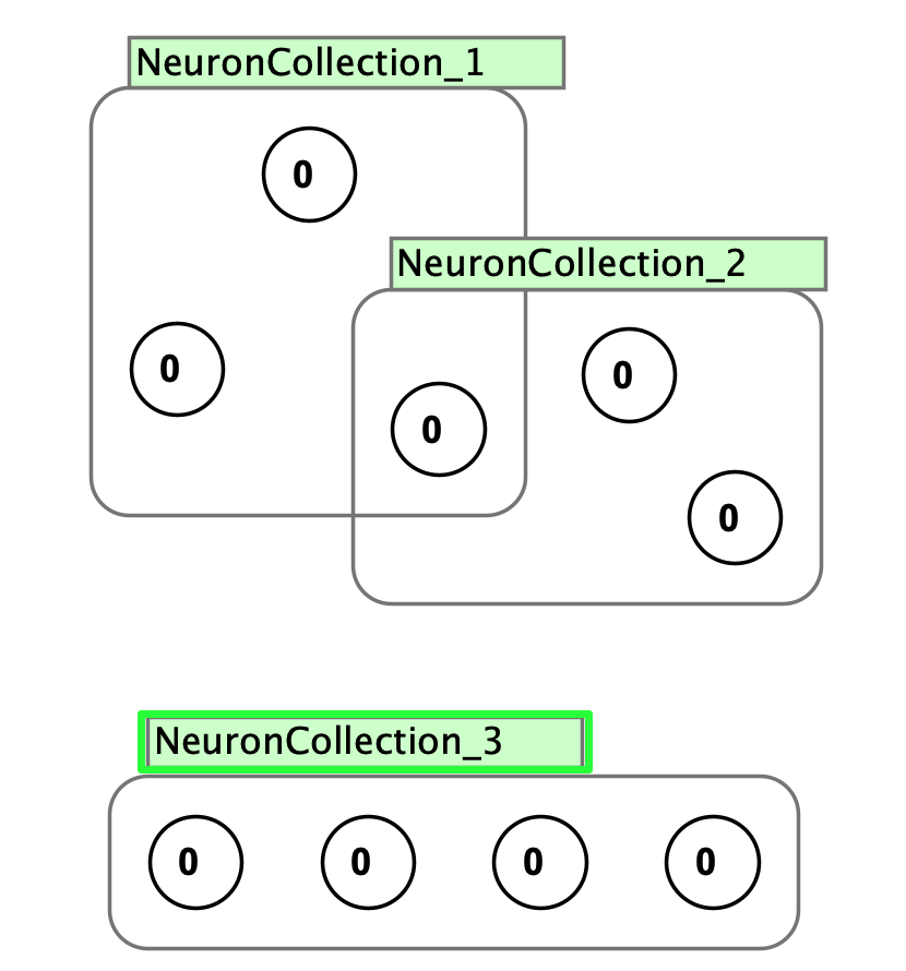neuron colletions